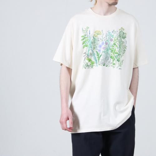 LIBERTY GRAPHICS (Хƥեå) Herbs / ץT ϡ֥
