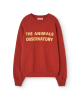 <img class='new_mark_img1' src='https://img.shop-pro.jp/img/new/icons6.gif' style='border:none;display:inline;margin:0px;padding:0px;width:auto;' />Woman SizeThe Animals ObservatoryPerseus Sweatshirt / Maroon