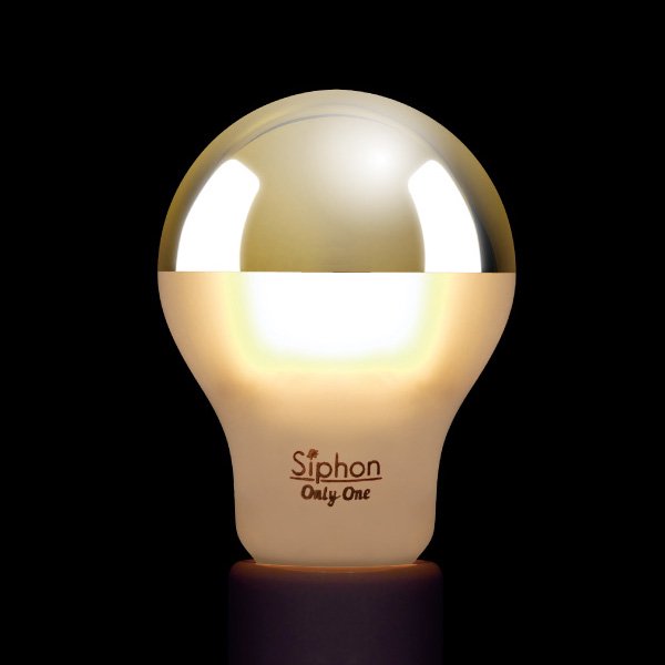 LEDŵThe Bulb (Х)[Gold mirror+Frost]25W˸E26ʦ60x105mmȷŵ忧Ĵб