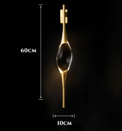 LASHA LED ǥ 饤  W100H600mm