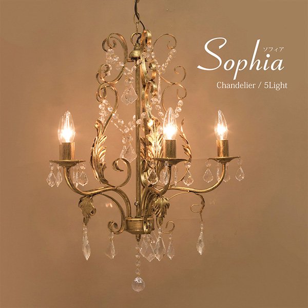 ̤ۥǥꥢSophia ե5ɡʦ500H640mm*