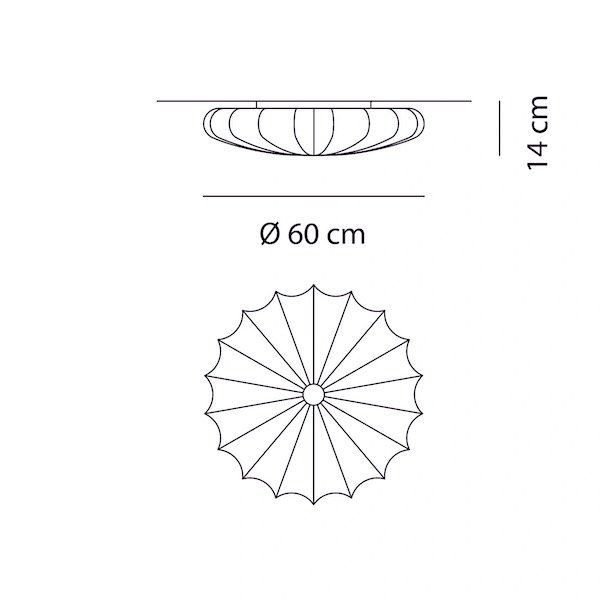 Axolight ꥢƥꥢMuse PL60ץۥ磻 (600H140mm) 