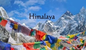 【期間限定出品】ヒーラー個人コレクションクリスタル✴︎洋菓子の引き寄せ石 CRYSTAL＊＊水晶 - 天然石とヒーリングのお店 ‐ Crystal Shop Fuu