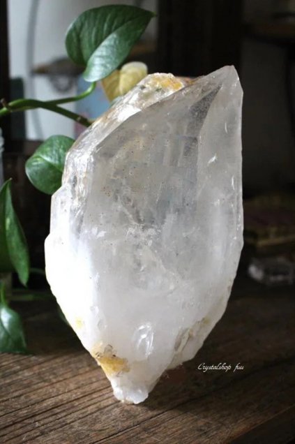 Himalaya ManikaranQuartz with Elestialҥޥޥ˥󻺥ꥹwith쥹