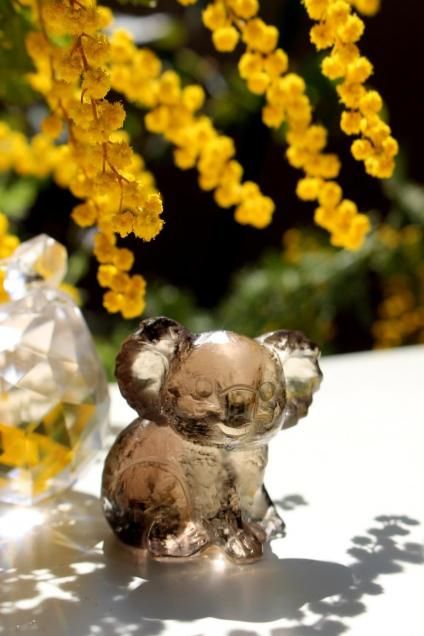 Brazil smokyQuartz Koala֥饸뻺⡼ġʥ