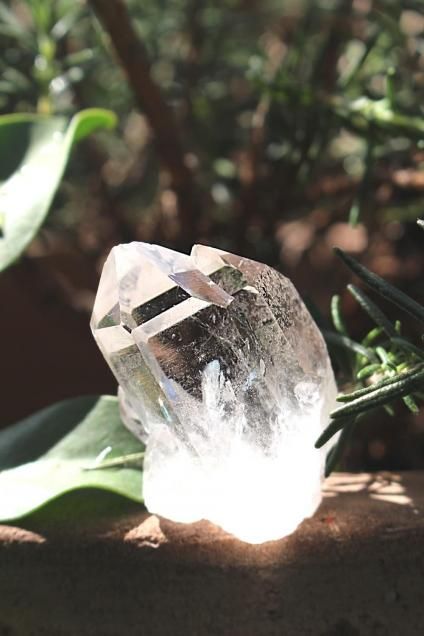 Brazil Tomaz Gomzaga QuartzTantric twin˥֥饸뻺ȥޥ󥶥 ġʥȥåĥ
