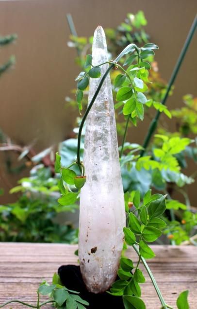 Himalaya Tipling Water in Amethyst (Singing DT Laser Quartz)ҥޥƥץ󻺿ꥢ᥸ (󥮥 DT 졼)