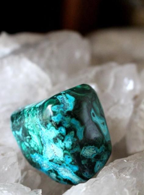 D.R.Congo chrysocolla󥴶¹񻺥꥽