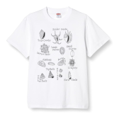 shell name Tシャツ