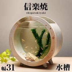 ھƤ   ̴() 31 ⤵33 ھ ȭ 𥢥ꥦ ƫ 餭  ޯ ƫ ƥꥢ » ƥꥢ » 