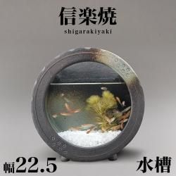 ھƤ   شݿ() 22.5 ⤵23 ھ ȭ 𥢥ꥦ 餭  ޯ ƫ ƥꥢ »  