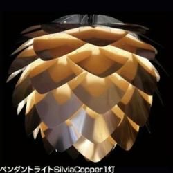 ̲VITA Silvia Copper ڥȥ饤 3 ֥å ۥ磻