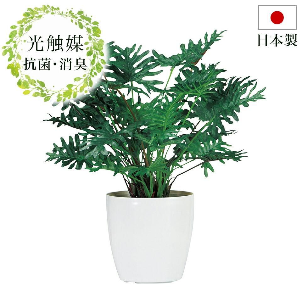 フェイクグリーン 光触媒 光触媒人工観葉植物 ホルムアルデヒド対策 おしゃれ 抗菌 消臭 玄関 観葉植物 造花 光触媒 ニオイを分解 V Cat 防汚 スプリット Sango Me フェイクグリーン 光触媒 光触媒人工観葉植物 ホルムアルデヒド対策 おしゃれ 抗菌 消臭 玄関 観葉植物 造花 光触媒 ニオイを分解 V Cat 防汚 スプリット Sango Me
