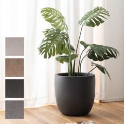 ꡼١ ȭ ץ󥿡С ʪ ƥꥢޥå   ƥ ץ󥿡 ȭ ˥奢󥹥顼 ޥå ߥ顼