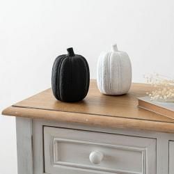 ե롼ĥ֥ ֥ ܤ ʪ ʪ ƥꥢ   ƫ ޥåȻž夲   ѥ Ѿ ӥ 襤 