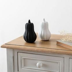 ե롼ĥ֥ ֥ ܤ ʪ ʪ ƥꥢ   ƫ ޥåȻž夲   ѥ Ѿ ӥ 襤 