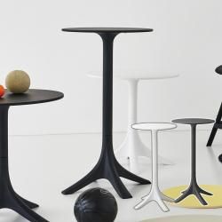 ϥơ֥ ץ   ϥ ơ֥  Ω ơ֥  ӥ ʪ 