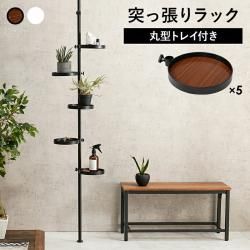 ͤĥѡ 6åȡʴݷ  ǥץ쥤 ʪǼ ץ ͤĥ  ĤäѤå  ֥饦  ۥ磻