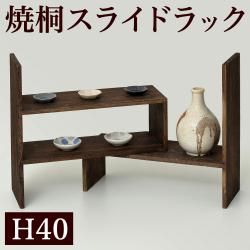 �ƶ� ���饤�ɥǥ����ץ쥤��å� ��42.5�� ŷ���� ���� ���� �¼� ����ƥꥢ 