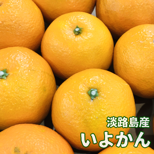 øϩ绺<br>褫(1kg)