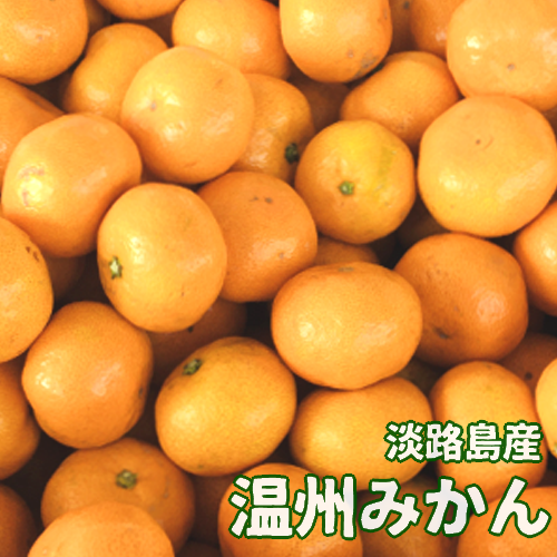 øϩ绺<br>ߤ(10kg)