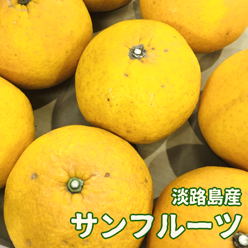 øϩ绺<br>ե롼(1kg)