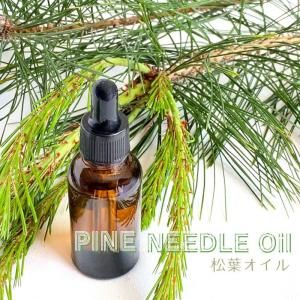 ƣ-ե<img class='new_mark_img2' src='https://img.shop-pro.jp/img/new/icons14.gif' style='border:none;display:inline;margin:0px;padding:0px;width:auto;' />