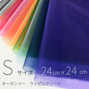 <img class='new_mark_img1' src='https://img.shop-pro.jp/img/new/icons1.gif' style='border:none;display:inline;margin:0px;padding:0px;width:auto;' />󥸡åԥ󥰥ȡS24cm24cm)