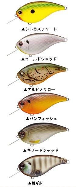 エバーグリーン フラットフォース