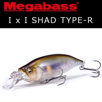 メガバス I x I SHAD TYPE-R （アイバイアイシャッド タイプＲ