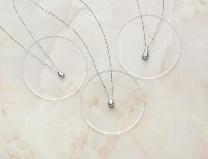 遺骨ペンダント Soul Jewelry ペンダント 2way ステンレス 「モア