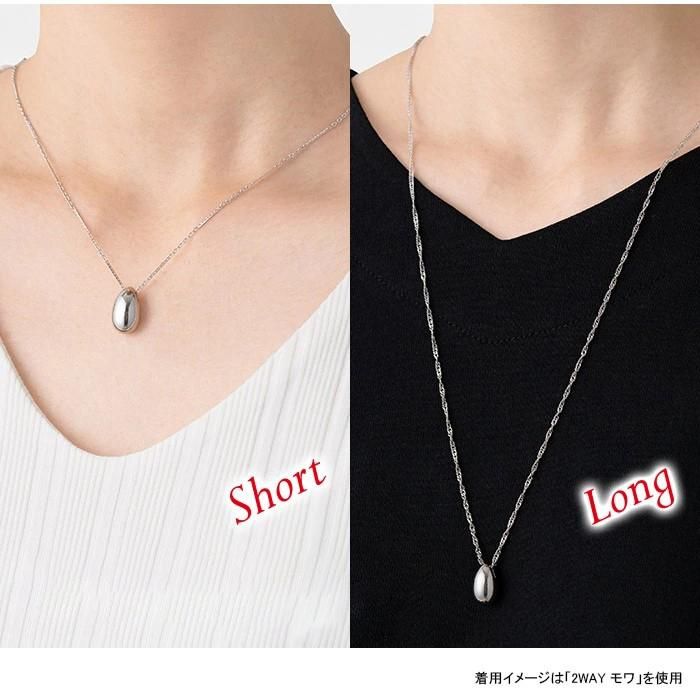 遺骨ペンダント Soul Jewelry ペンダント 2way ステンレス