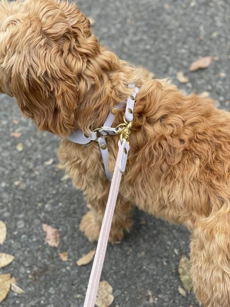 Sturdy Luggage Supply｜