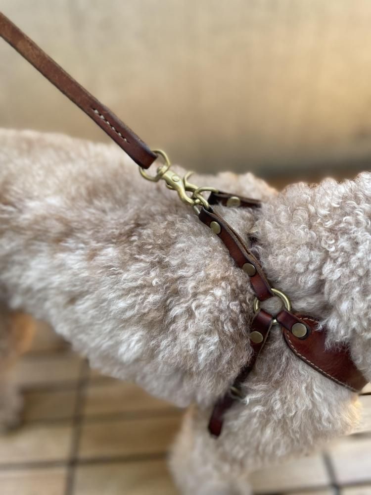 廃盤　新品タグ付き　 Medium Skiffles Dog Sturdy Luggage Supply｜