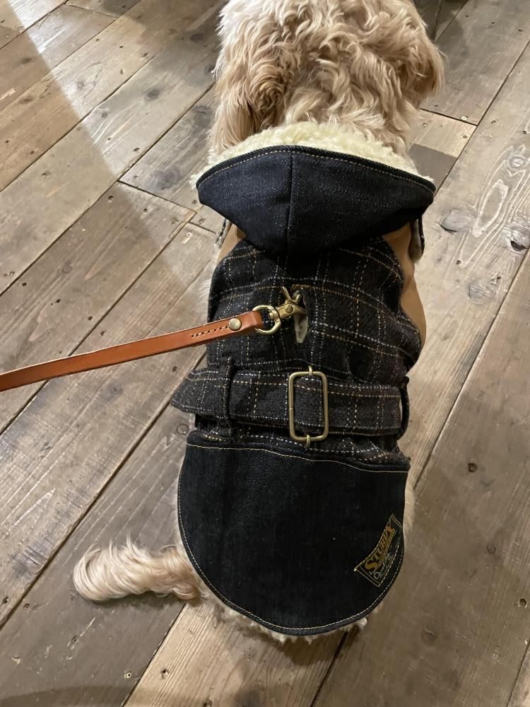 motto_dog 01 / CS | FROM SCRATCH