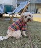 <img class='new_mark_img1' src='https://img.shop-pro.jp/img/new/icons30.gif' style='border:none;display:inline;margin:0px;padding:0px;width:auto;' />Sturdy Luggage Supply｜ "Dog Flannel Shirt"