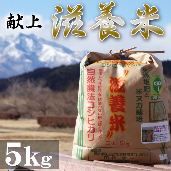 滋養米 5kg - 通販 - toptelha.net.br