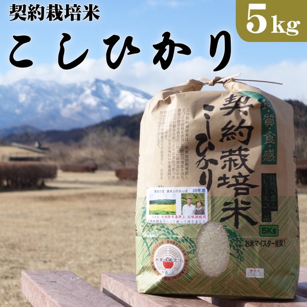 栃木県大田原市湯津上産 契約栽培米コシヒカリ 5kg