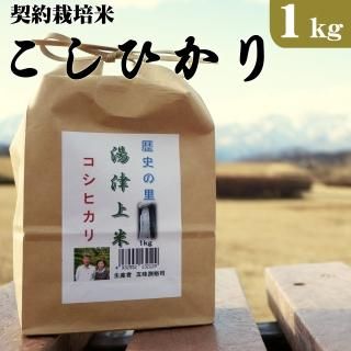 栃木県大田原市湯津上産 契約栽培米コシヒカリ 5kg 栃木県大田原市湯津上産 契約栽培米コシヒカリ 5kg