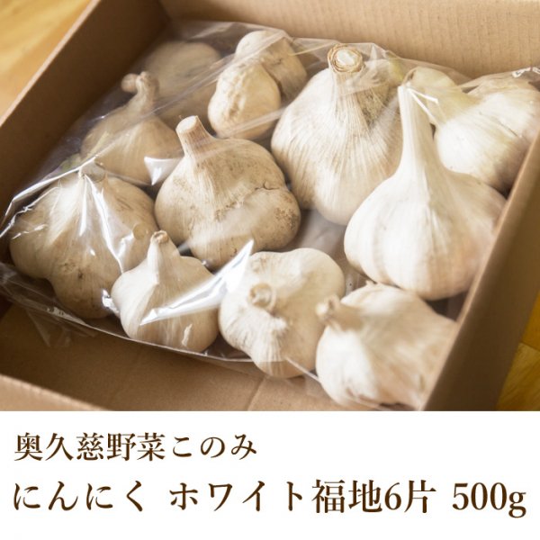 奥久慈野菜このみ にんにく ホワイト福地6片 500g | 有機肥料のみで栽培