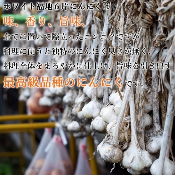 奥久慈野菜このみ にんにく ホワイト福地6片 500g | 有機肥料のみで栽培
