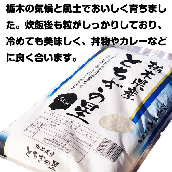 栃木県産とちぎの星 5kg | 栃木ブランド米