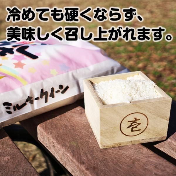 ゆうみ　栃木県北産 ミルキークイーン 栃木県産 ミルキークイーン 20kg(5kg×4袋) 【精白米】 令和6年産