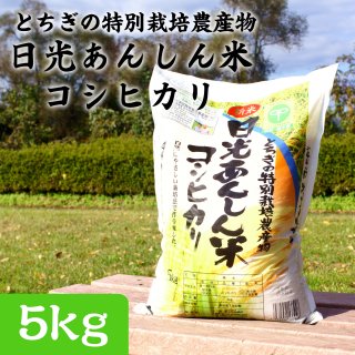 【R3年度新米・玄米25kg】栃木県の指定優良農地で採れたブランド米コシヒカリ