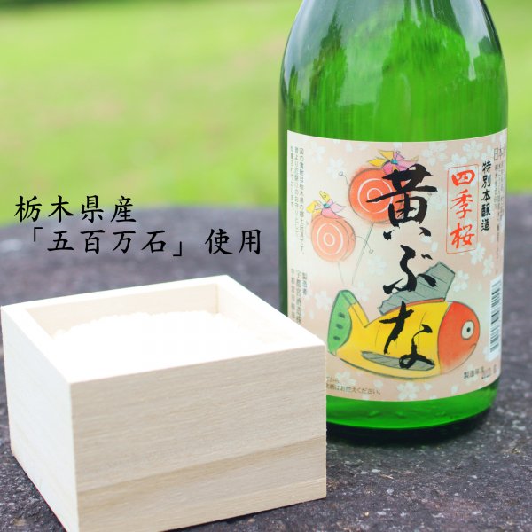 四季桜 特別本醸造 黄ぶな 720ｍl(4合瓶) | 日本酒 清酒