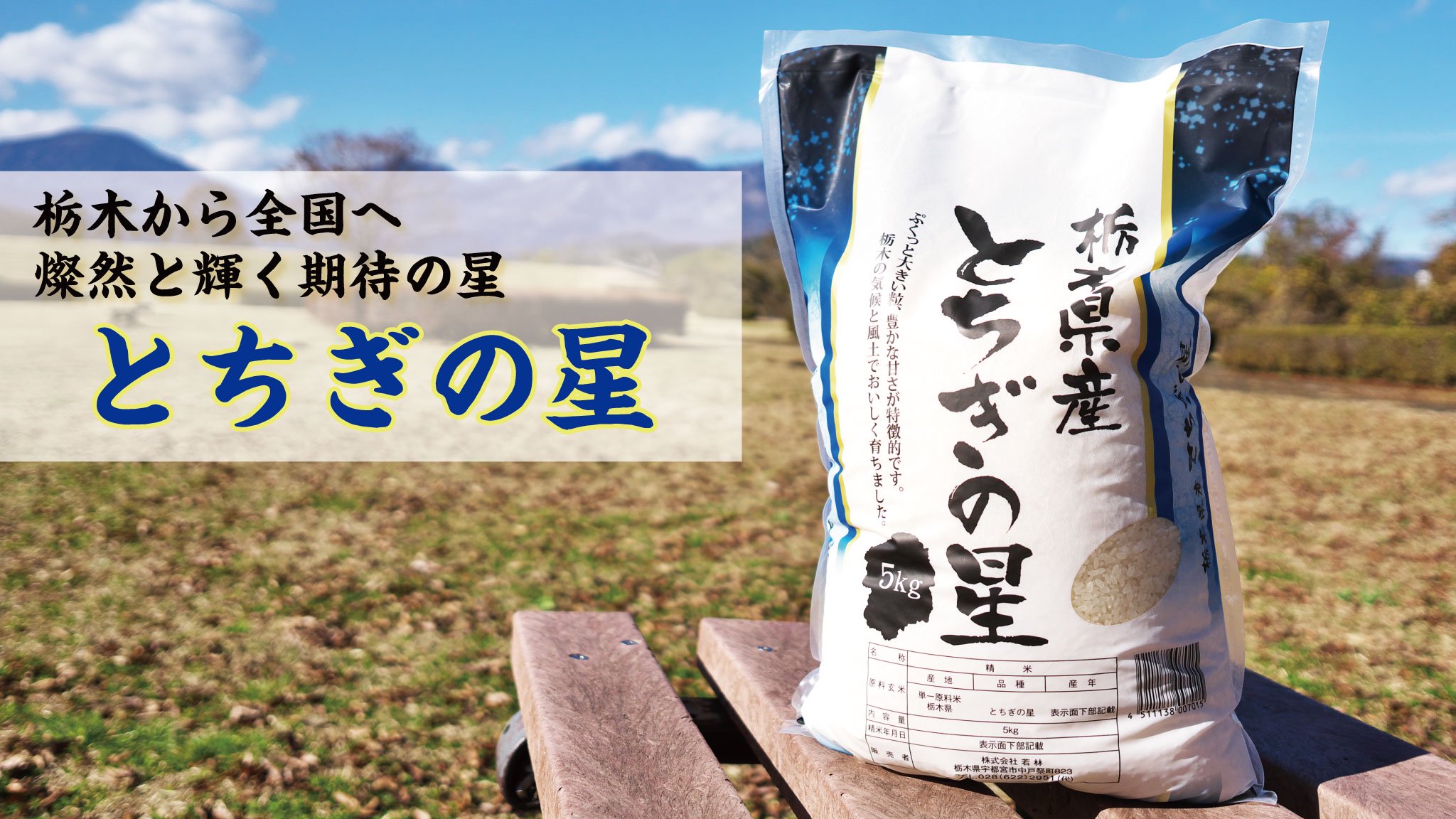 新米とちぎの星 無洗米 10kg 令和4年 栃木産 農家直送でお届けします