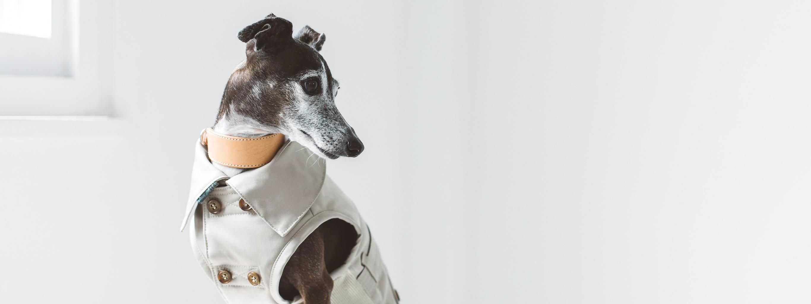 入園入学グッズ　ブルドッグ　犬　モノクロ　グレー　ウェーブステッチ フレンチブルドッグ グッズ プレゼント ギフト フィギュア