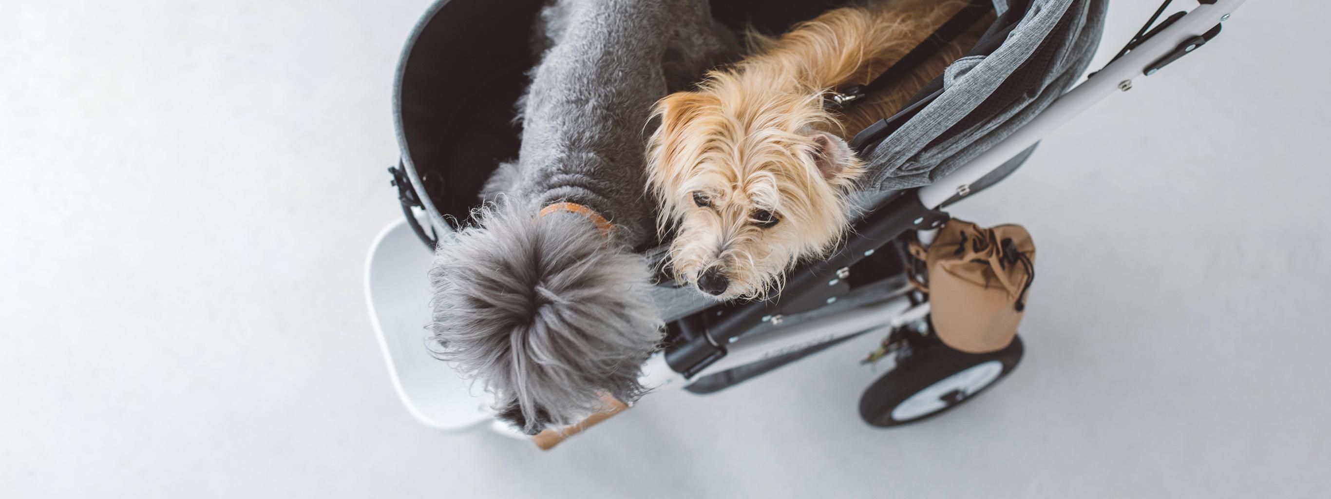 AirBuggy for Dog(エアバギー)の通販/販売はペットグッズセレクト