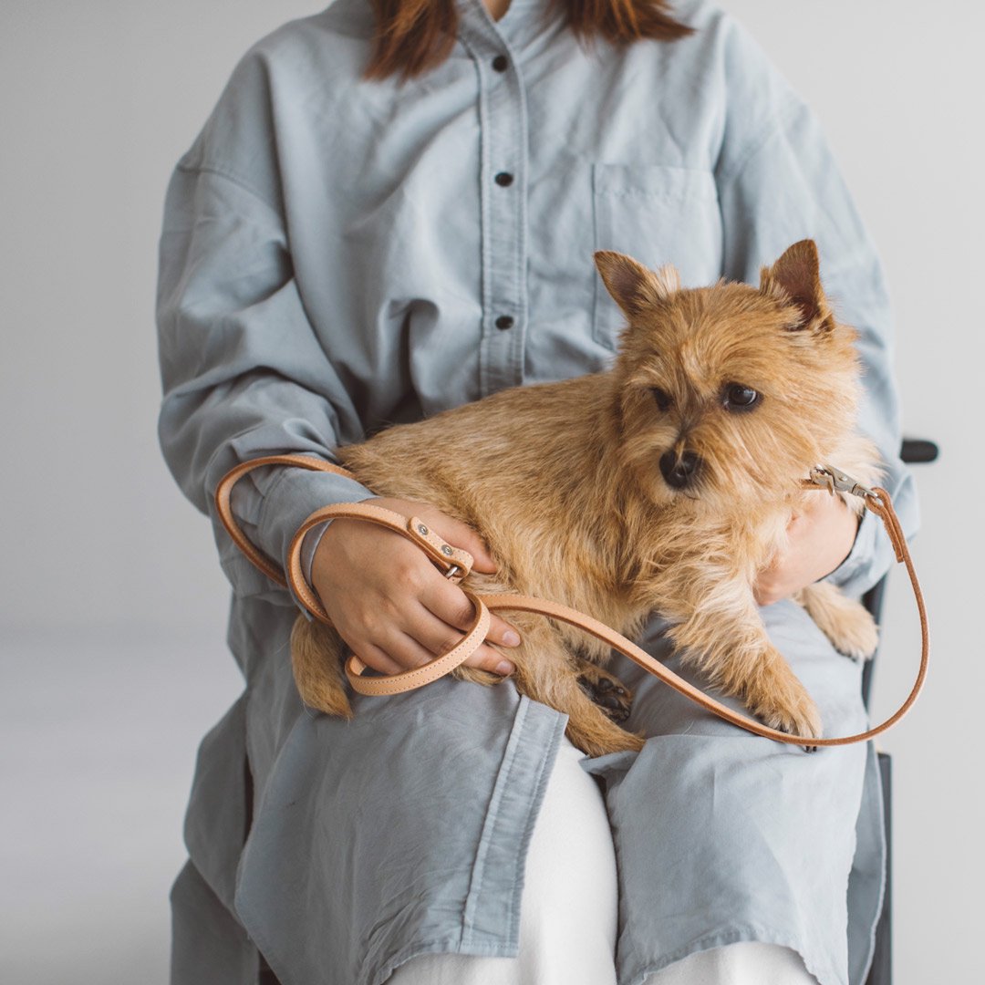 犬のリードはドッググッズ 通販 販売のフリーステッチ