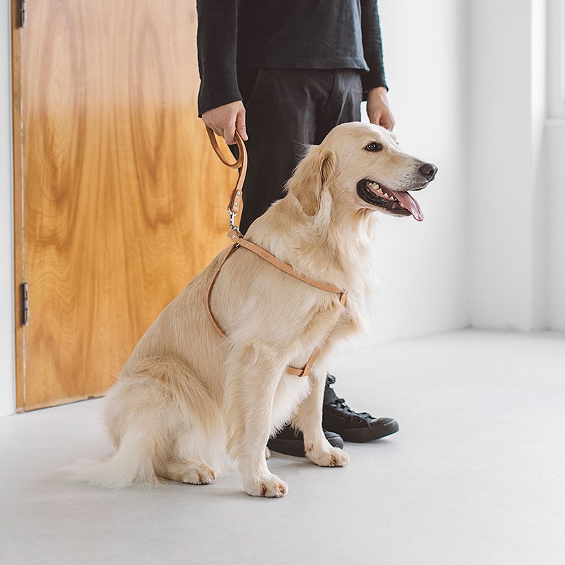 犬のハーネスはペットグッズ 通販 販売のフリーステッチ